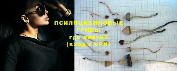 а пвп мука Удомля