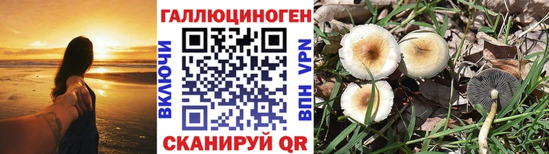 купить наркотики сайты  Голицыно  KRAKEN зеркало  Псилоцибиновые грибы ЛСД 